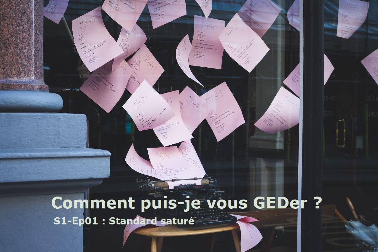 image from "Comment puis-je vous GEDer ?" - Saison 1 - Ep01 : "Standard saturé"